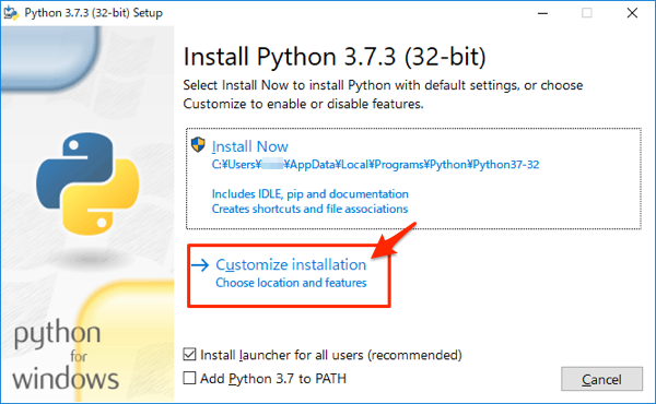 python custom install
