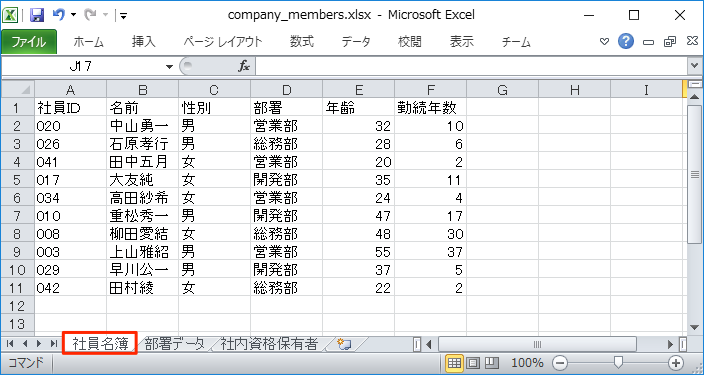 members excel sheet