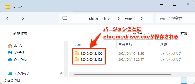 chromedriver.exe folder